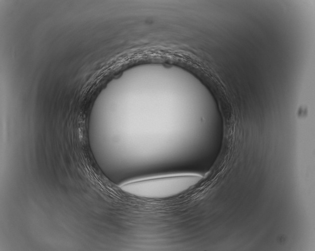X0000113201490200909100910