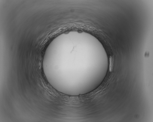 X0000113201491200909100910