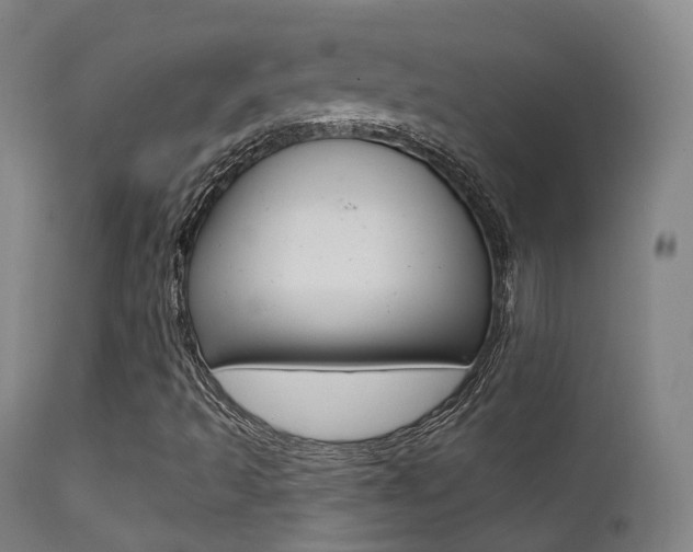 X0000113201493200909100910