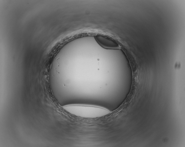 X0000113201495200909100910
