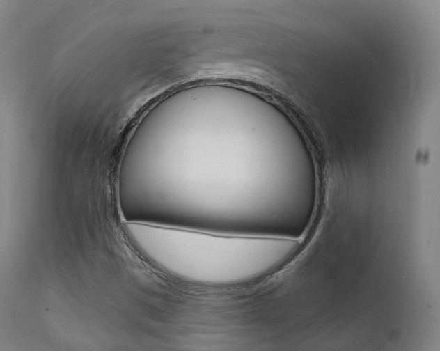 X0000113201497200909100910