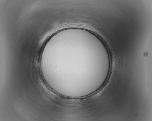 X0000113201498200909100910