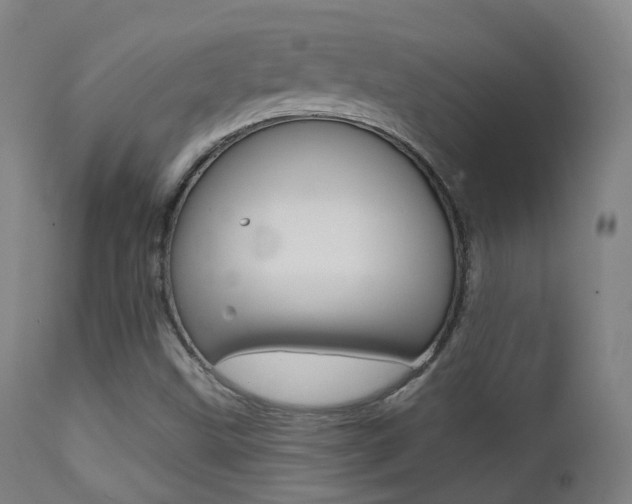 X0000113201499200909100910