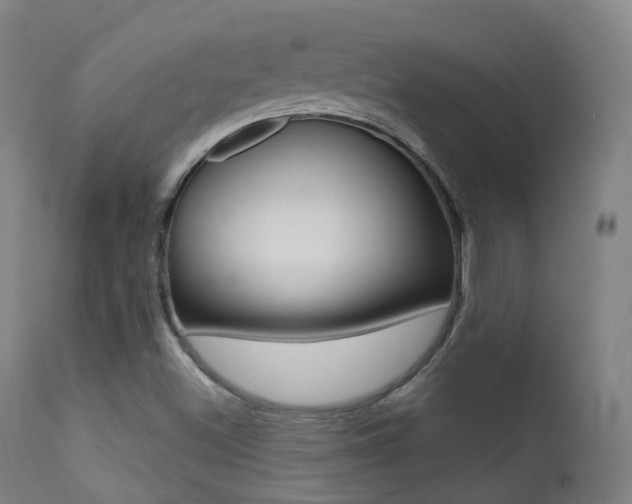 X0000113201500200909100910