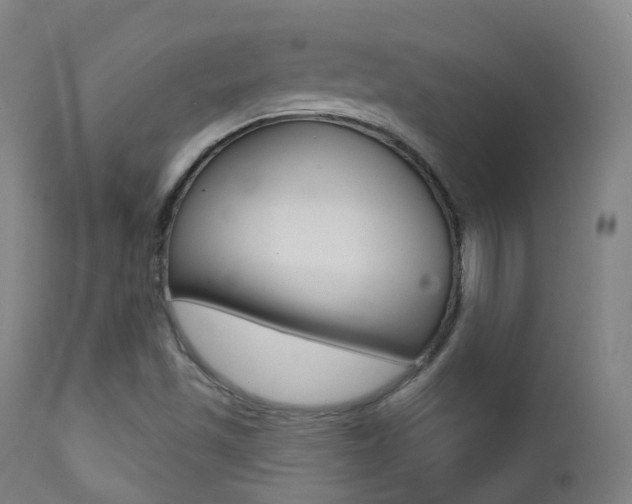X0000113201501200909100910