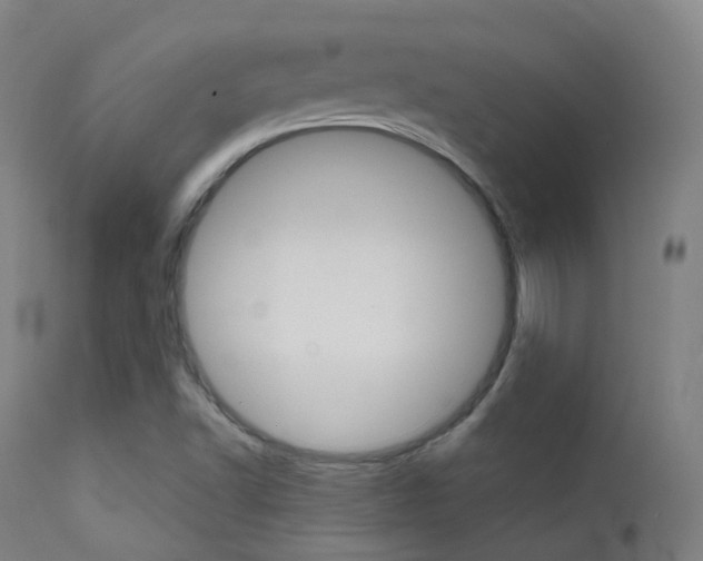 X0000113201502200909100910