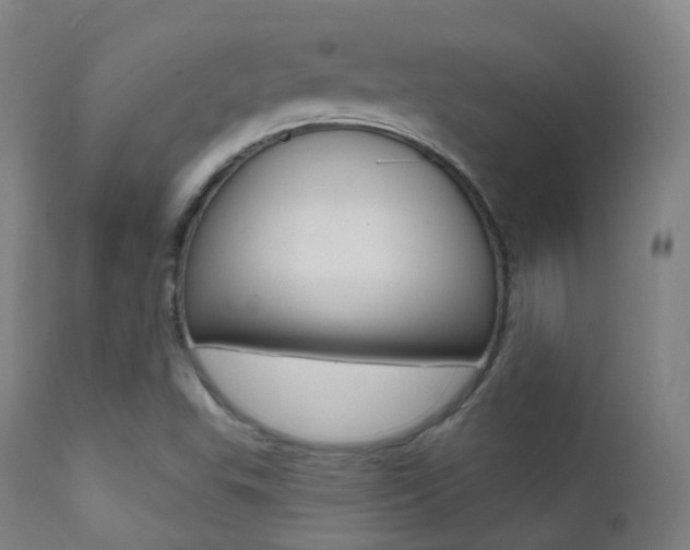 X0000113201503200909100910