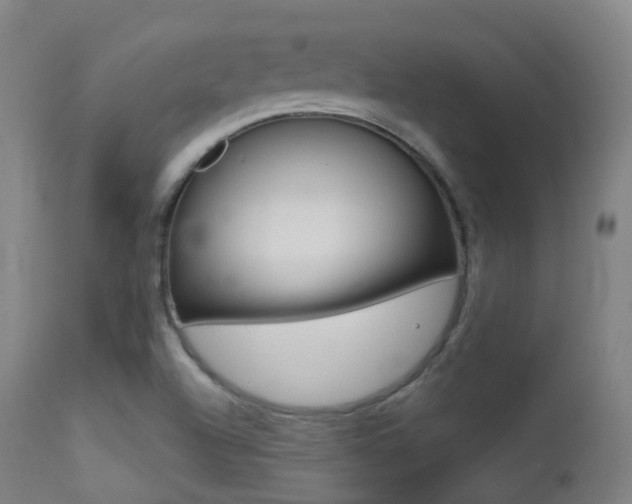 X0000113201504200909100910