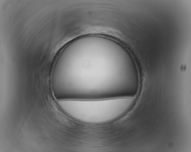 X0000113201505200909100910