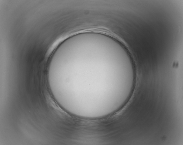 X0000113201506200909100910