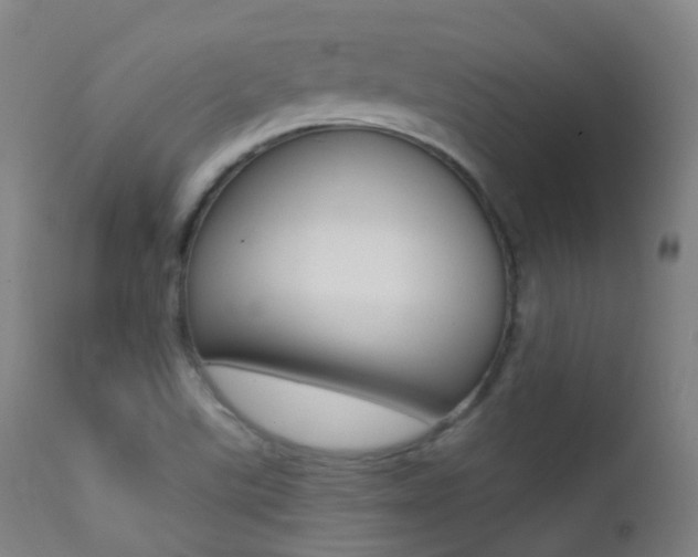 X0000113201507200909100910