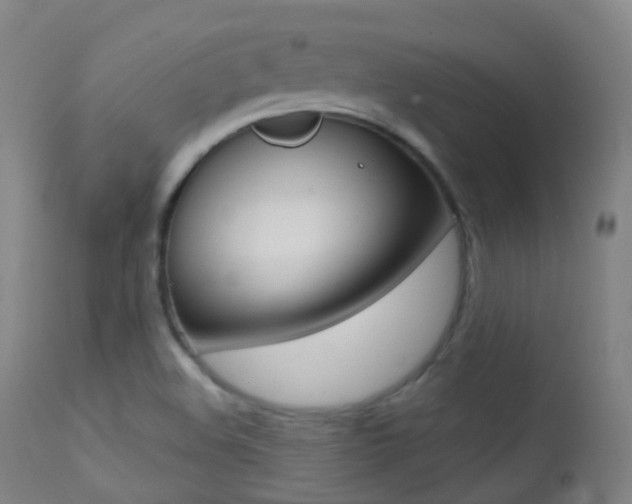 X0000113201508200909100910