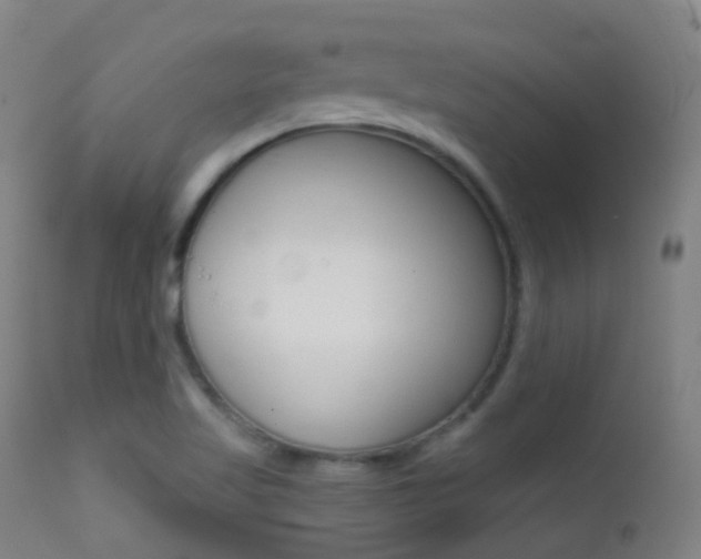 X0000113201509200909100910
