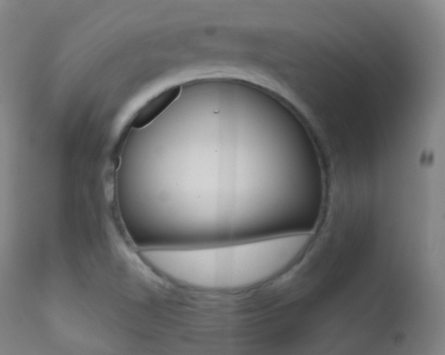X0000113201510200909100910