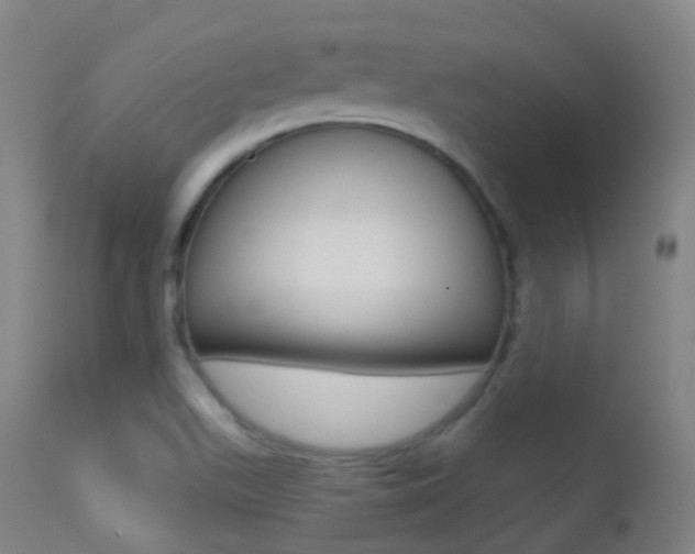 X0000113201511200909100910