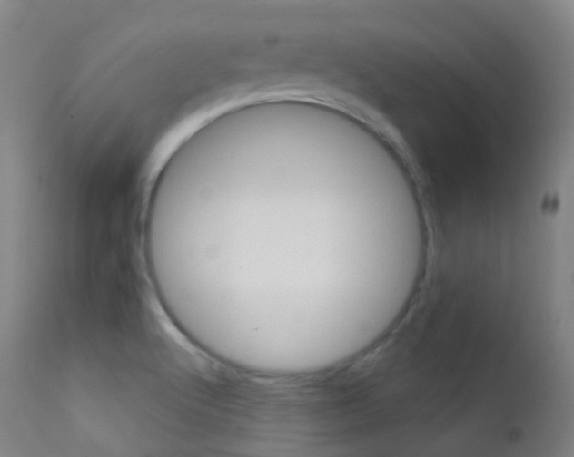 X0000113201512200909100910