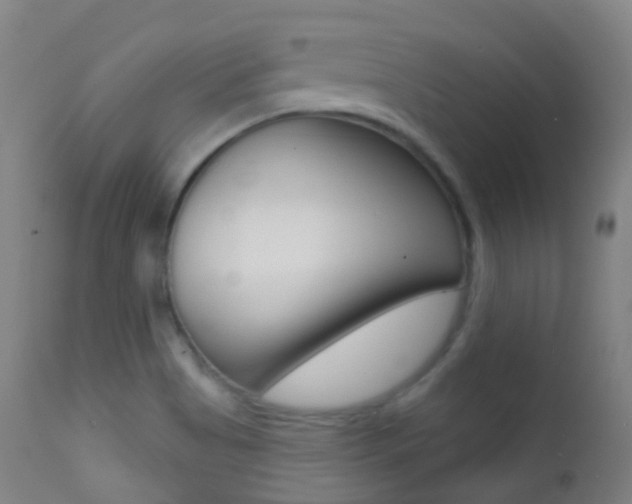 X0000113201513200909100910