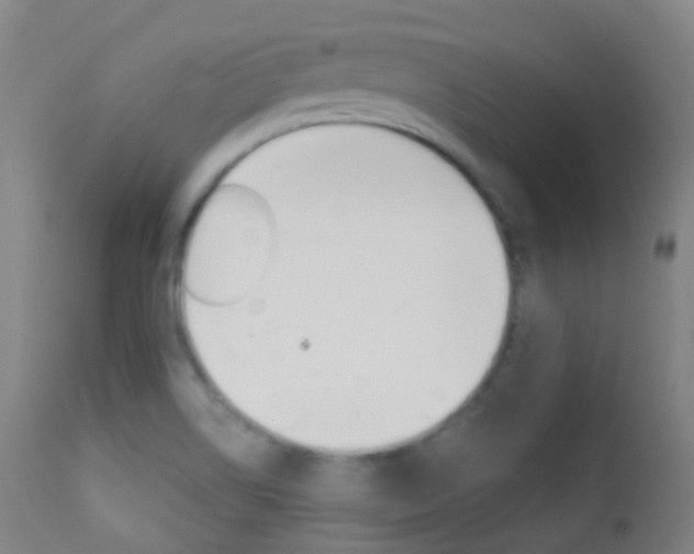 X0000113201514200909100910