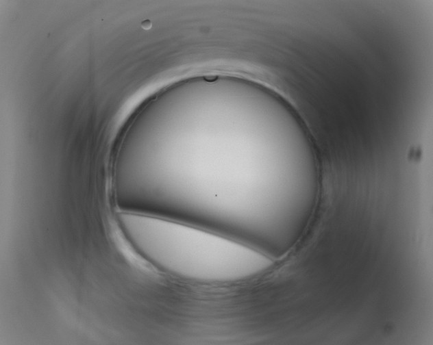 X0000113201515200909100910