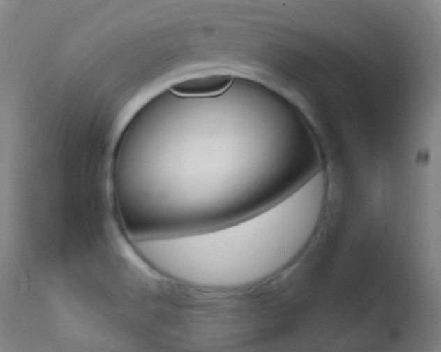 X0000113201516200909100910
