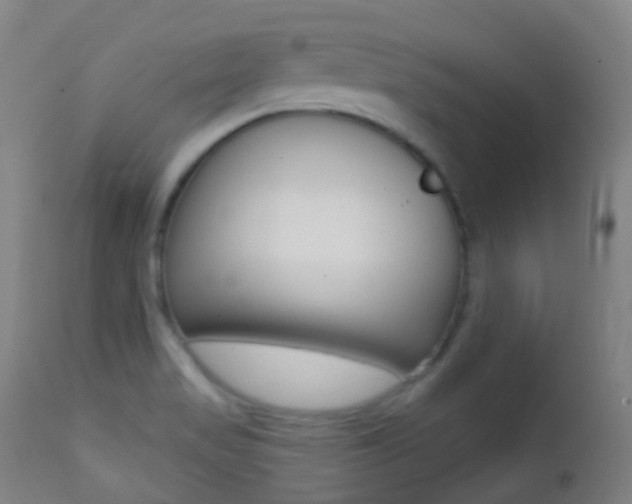 X0000113201517200909100910