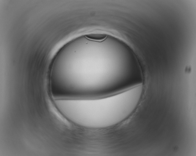X0000113201518200909100910