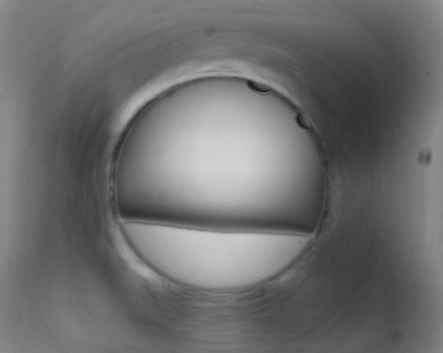 X0000113201519200909100910