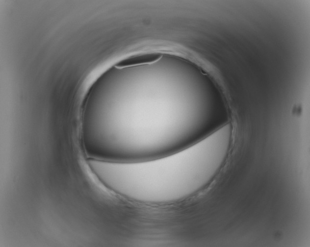 X0000113201520200909100910