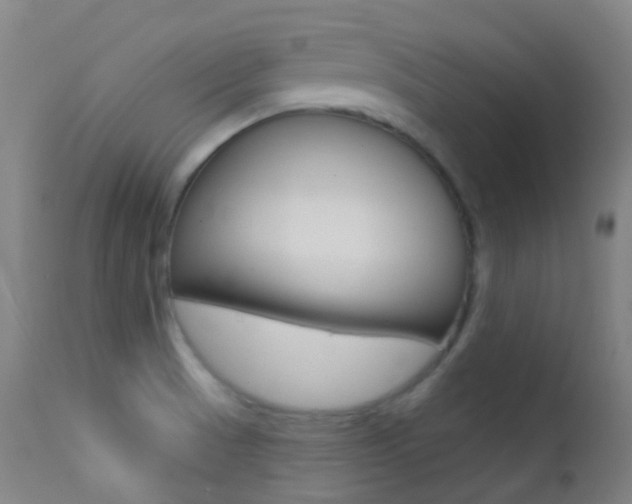 X0000113201521200909100910
