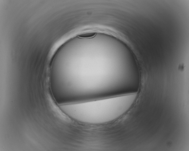 X0000113201522200909100910