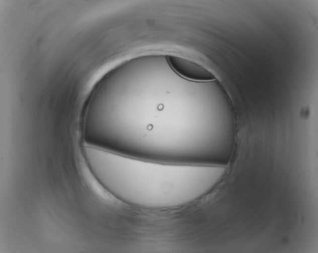 X0000113201523200909100910