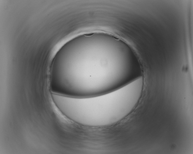 X0000113201524200909100910