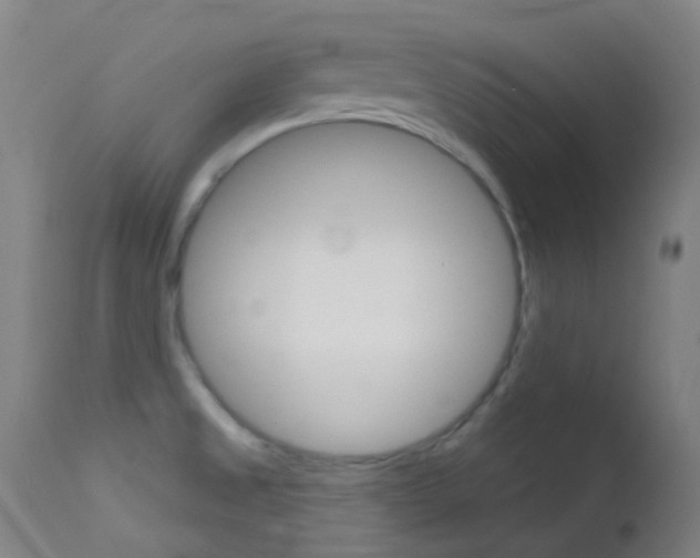 X0000113201525200909100910