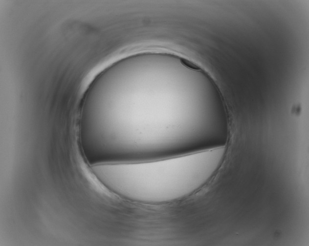 X0000113201526200909100910