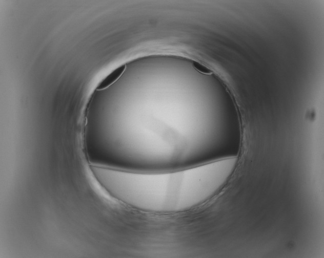 X0000113201528200909100910