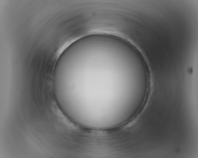 X0000113201529200909100910
