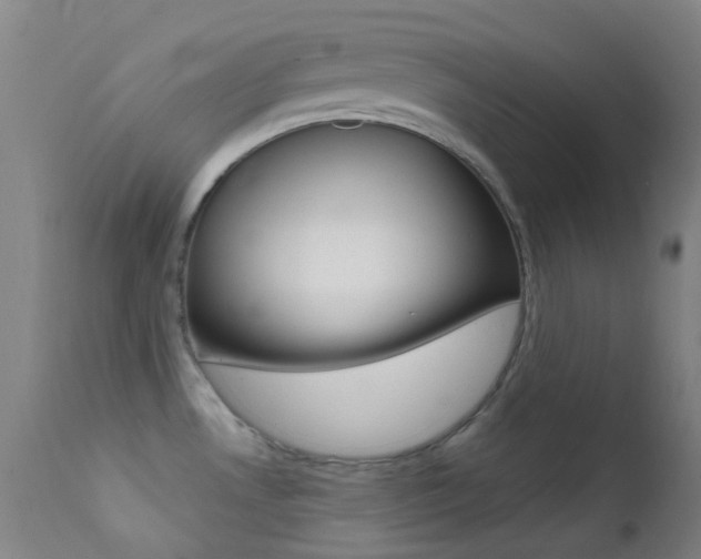 X0000113201530200909100910