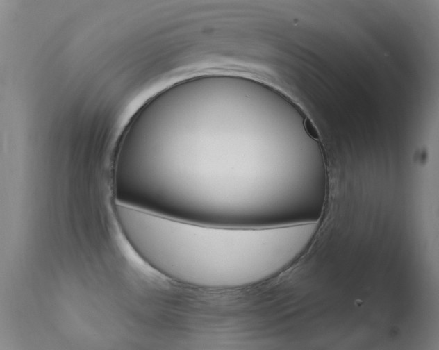 X0000113201531200909100910