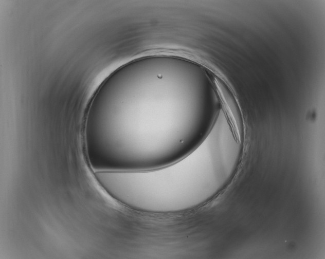 X0000113201533200909100910