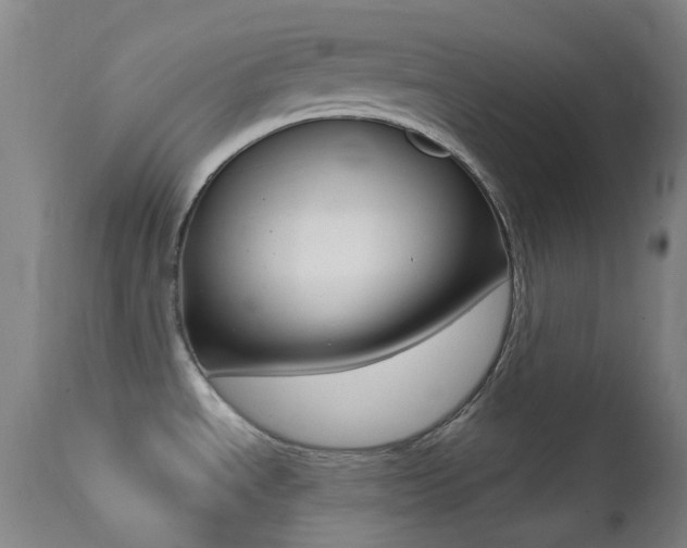 X0000113201534200909100910