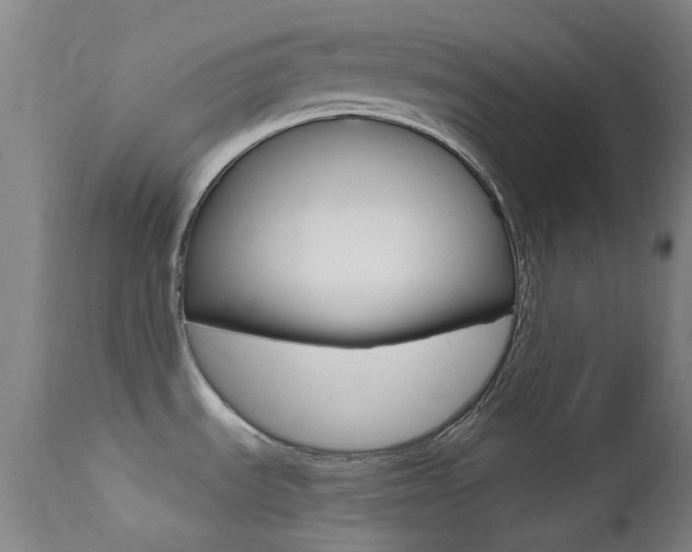 X0000113201535200909100910
