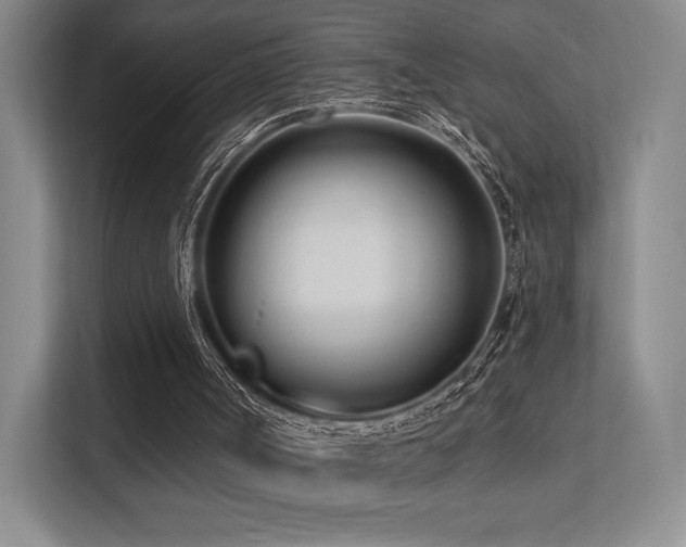 X0000113200002200909101121