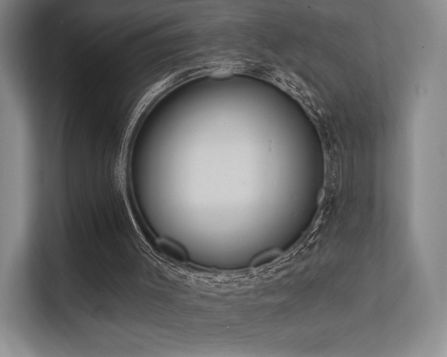 X0000113200003200909101121