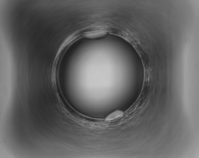 X0000113200004200909101121