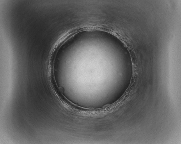 X0000113200005200909101121