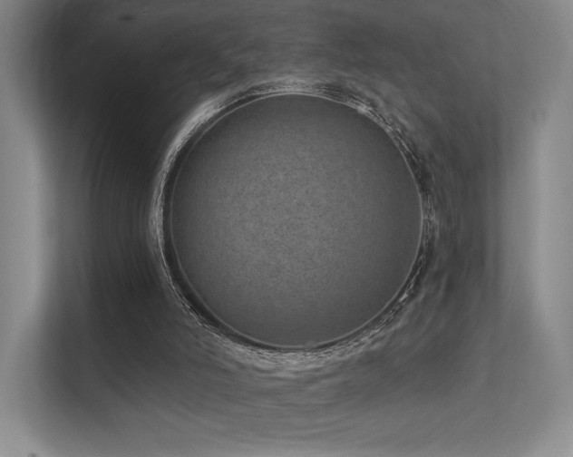 X0000113200006200909101121