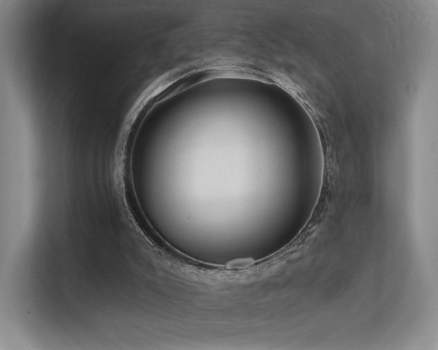 X0000113200007200909101121