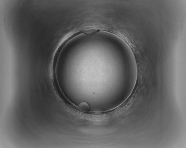 X0000113200008200909101121