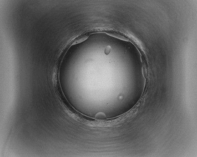 X0000113200009200909101121