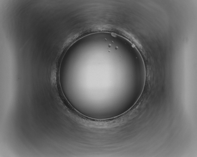 X0000113200010200909101121